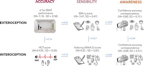 Diagram Representing All Measured Variables Of Exteroception And