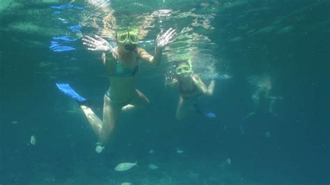 Destin Snorkel - Official Website, The Leader in Snorkeling