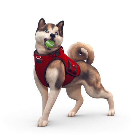 The Sims 4 Cats Dogs Bundle In 2021 Sims 4 Cats Sims 4 Cats And - Vrogue