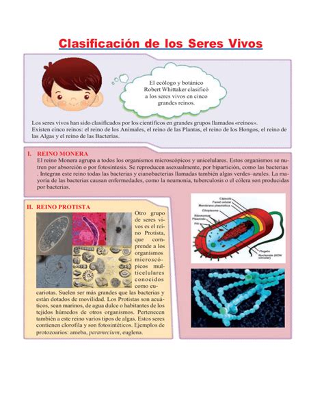 Clasificación de los Seres Vivos para Quinto de Primaria