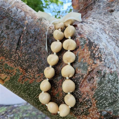 Kukui Nut Necklace - Peaceful Mind