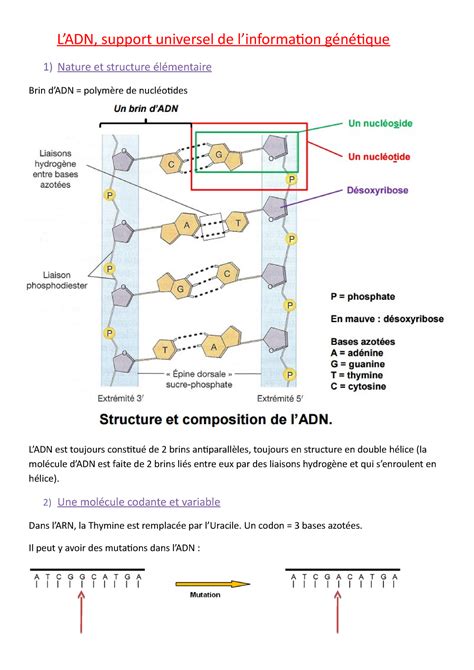 Ladn Support Universel De Linformation G N Tique Ladn Support