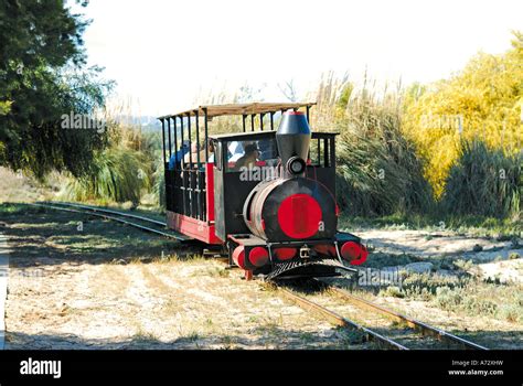 Toy Train Bringing Tourists To The Beach Praia Do Barril Pedras Del