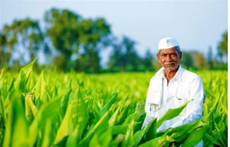 Farmers Ineligible For Pm Kisan Yojana Avail Benefits To Return Money