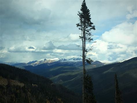 Old Town Winter Park, Winter Park Vacation Rentals: house rentals