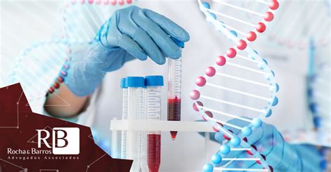 Exame De Dna Positivo N O Garante Reconhecimento De Paternidade