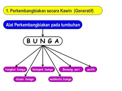 Peta Konsep Perkembangbiakan Vegetatif Pada Tumbuhan Imagesee