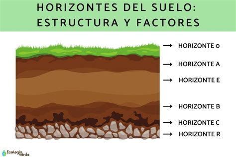 Qu Tipo De Suelo Tiene La Tierra Descubre El Tipo De Suelo De La