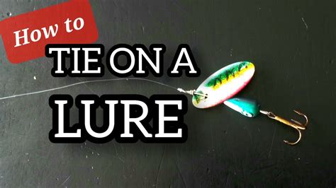 Tying On Your Lure How To Tie On A Lure Beginner Fishing Setup