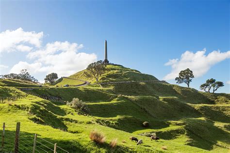 Maori culture experience tour | musement