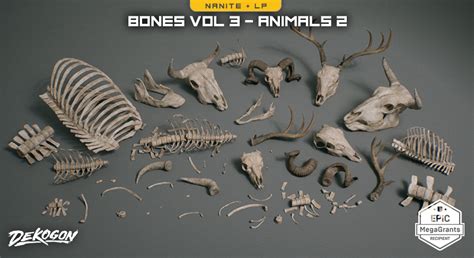 Bones VOL.3 - Animal Bones 2 (Nanite + Low Poly) in Props - UE Marketplace