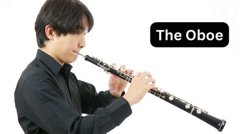 What is an Oboe Musical Instrument? An Introductory Guide - World of Musicality