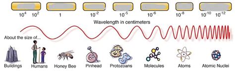 Waves and the EM Spectrum Diagram | Quizlet