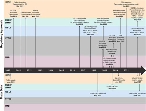 Evolution of regulatory-approved biomarkers in GC or GEJ cancer | Download Scientific Diagram