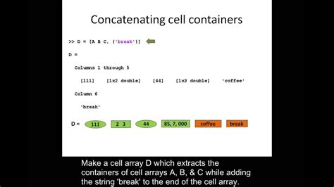 Create Cell Array Matlab Coltonrosschaefer