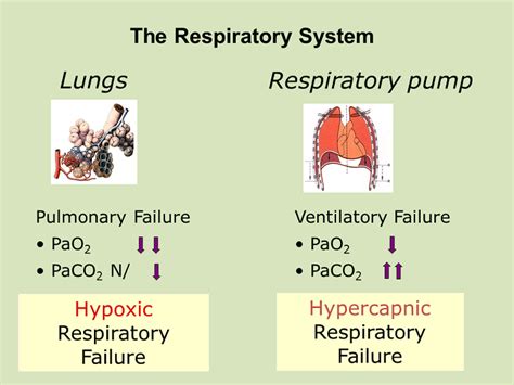 Hypoxic Respiratory Failure And Hypercapnic Respiratory Failure