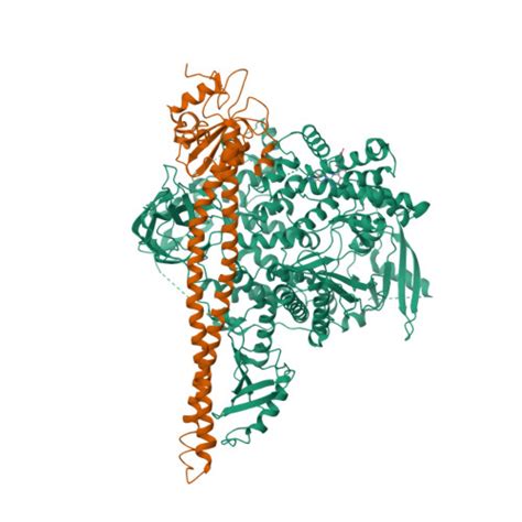 RCSB PDB 8W9A CryoEM Structure Of Human PI3K Alpha P85 P110 H1047R