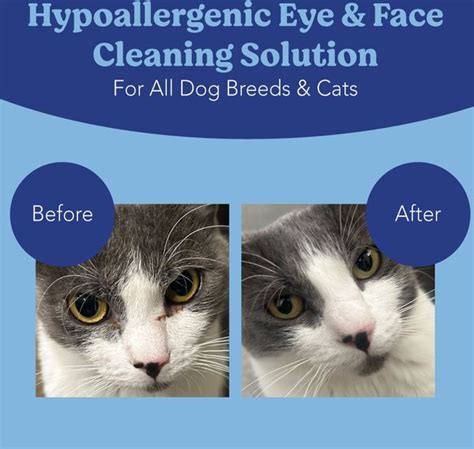 Angels Eyes Face Eye And Paw Cleansing And Tear Stain Wipe For Dogs And Cats