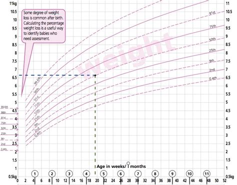 Growth Chart Percentiles What They Mean What They Don T 53 Off