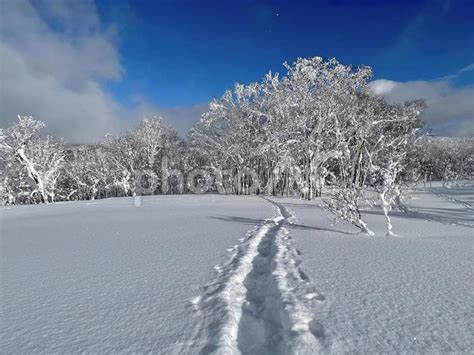 雪の積もった山道 No 27191955｜写真素材なら「写真ac」無料（フリー）ダウンロードok