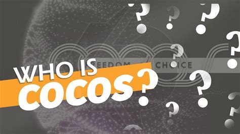 cocos fashion    cocos fashion  good supplier