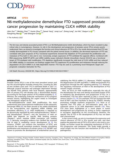 Pdf N6 Methyladenosine Demethylase Fto Suppressed Prostate Cancer