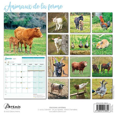 Les 500 Meilleures Image Animaux De La Ferme 115254 Image Animaux De