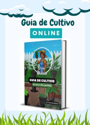 Kit Cultivo Grow Da Maria Cultivo Indoor