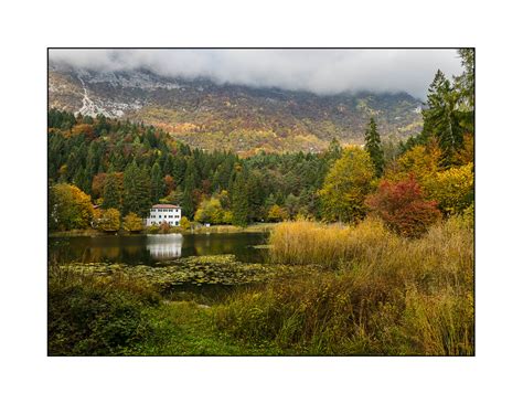 Sinfonia D Autunno Canne E Ninfee Popolano Il Lago Di Flickr