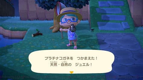 ＜画像126＞ミツバチに会える時期はあと少し！ 7月に捕まえたいムシをチェック【あつ森日記＃117】 電撃オンライン