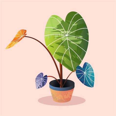 Illustration Vectorielle De Plantes Ornementales Vecteur Premium