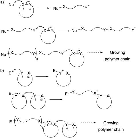 Polymers From Sugars Cyclic Monomer Synthesis Ring Opening