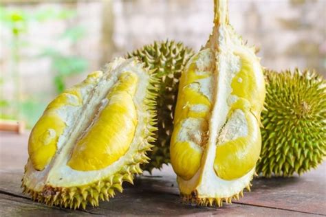 5 Kuliner Durian Di Bandung Ini Bikin Kamu Merem Melek Saat Memakannya