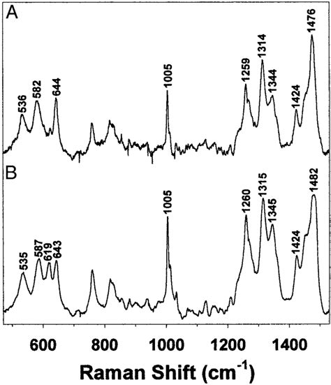 Resonance Raman Spectra Ex 632 8 Nm Of A The 700 Nm Species