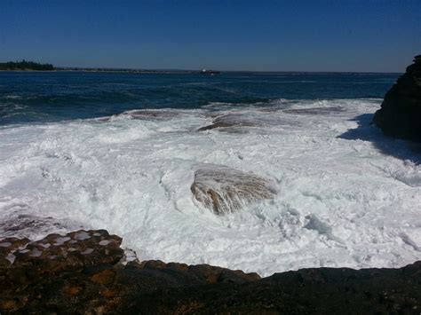 Sharmin"s blog: La Perouse- The wonderful beach to have fun