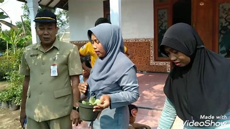 Kunjungan Bpk Plt Kadis Ketahanan Pangan Kab Lumajang Ke Kelompok Krpl