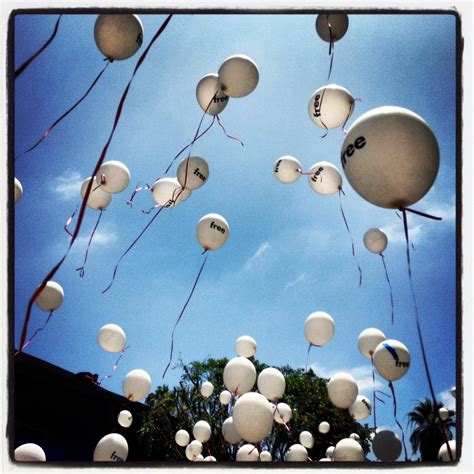 New ventures for carl ponds 4