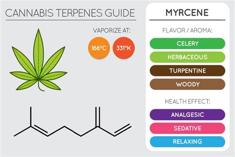 The Best Terpenes For Pain Green Goddess Collective