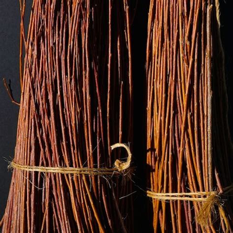 Large Dried Willow Branches For Sale Craft With Willow — Living