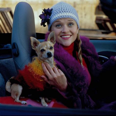 Reese Witherspoon Reflects On Legally Blonde As It Turns Good Morning America