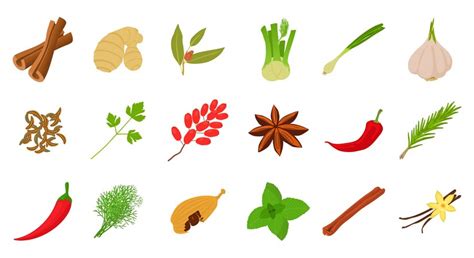 Premium Vector Spices Icon Set