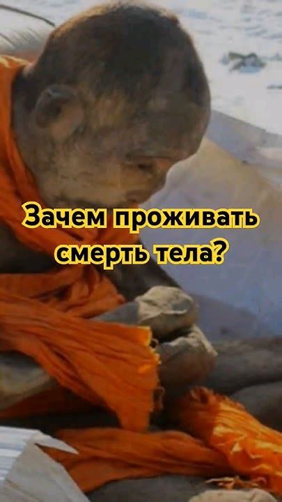 Тяжело в учении, легко в бою! - YouTube