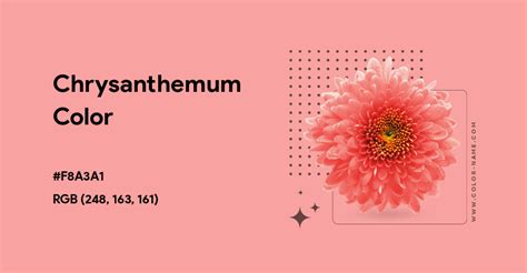 Chrysanthemum color hex code is #F8A3A1