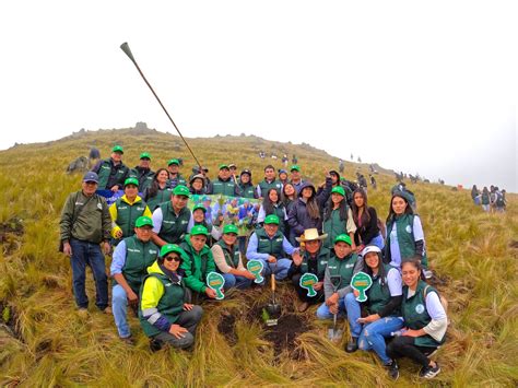 Huella Verde Newmont Yanacocha supera el millón de árboles plantados