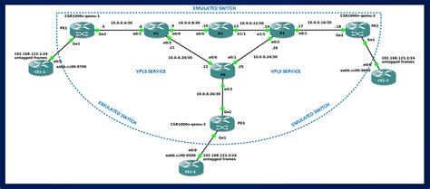 Virtual Private Lan Service Vpls Basic Info 1 Wdiw