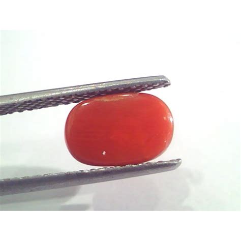 2 51 Ct 4 2 Ratti Natural Italian Red Coral Moonga Gemstone AAAA