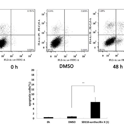 Sd 118 2 Induces Apoptosis And Cell Cycle In Hepg2 Cells A B