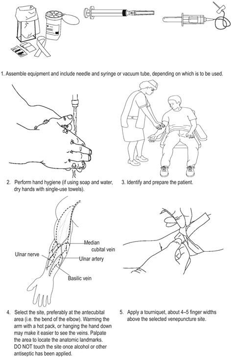 Best Practices In Phlebotomy Blood Collection The Vampire And Donor Hub