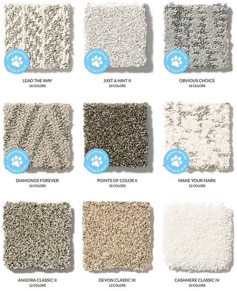 Shaw Carpet Review: Don’t Buy New Carpets Until You Read This - Best ...