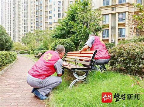 海棠赋能强“根系”，苏州相城黄桥街道基层善治好“锋”景群众服务卡居民